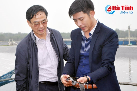 Đoàn đến thăm mô hình nuôi cá mú của HTX Nuôi trồng thủy hải sản Việt Hải...