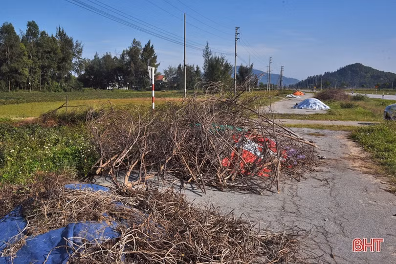 Nhiều hình ảnh chưa đẹp về tập kết rác ở Lộc Hà