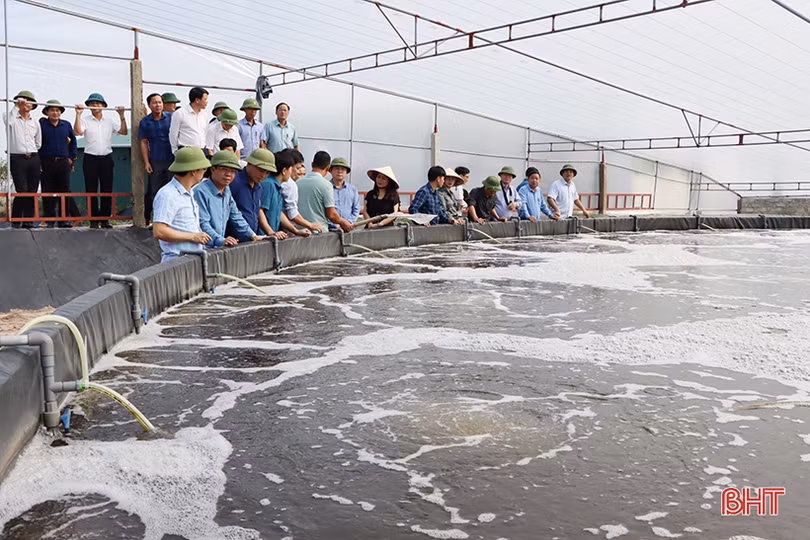 Cẩm Xuyên trao đổi kinh nghiệm phát triển nông nghiệp đô thị của TP Hà Tĩnh