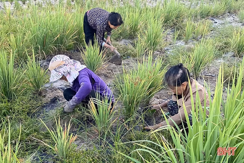 Khởi nghiệp thành công từ “sản xuất xanh”