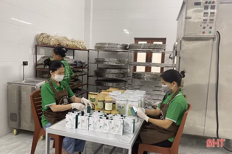 Khởi nghiệp thành công từ “sản xuất xanh”