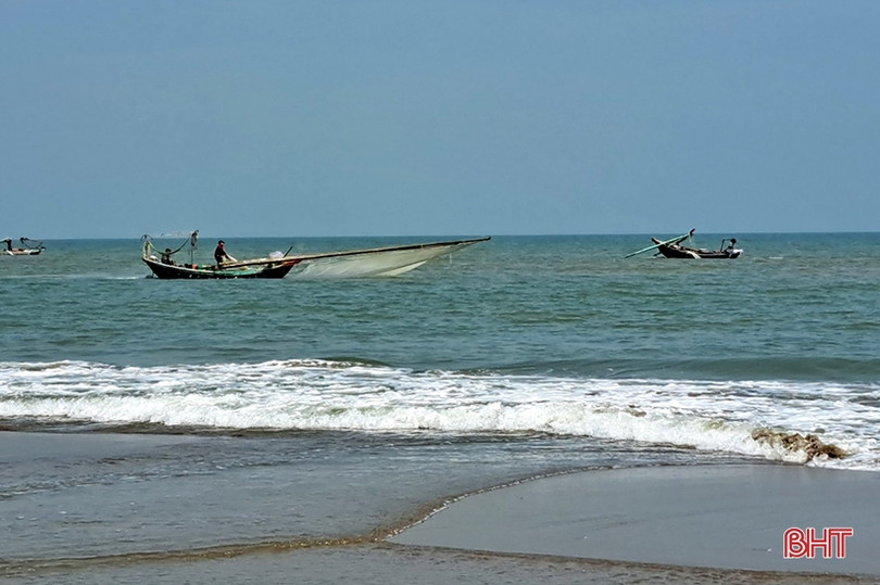 Ngư dân vùng biển phía Bắc Hà Tĩnh “trúng đậm” ruốc biển đầu mùa