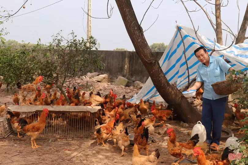 Thăm trang trại tổng hợp thu nhập tiền tỷ của nông dân Cẩm Xuyên