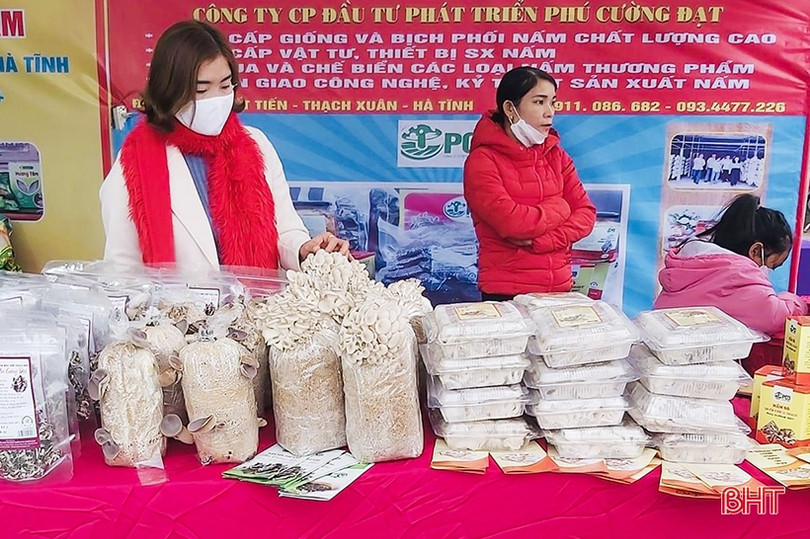 Chế biến sâu, làm hấp dẫn món nấm ăn tại Thạch Hà