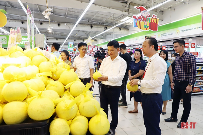 Khai mạc tuần lễ nông sản tiêu biểu Hà Tĩnh tại Hà Nội ảnh 6 Khai mạc tuần lễ nông sản tiêu biểu Hà Tĩnh tại Hà Nội
