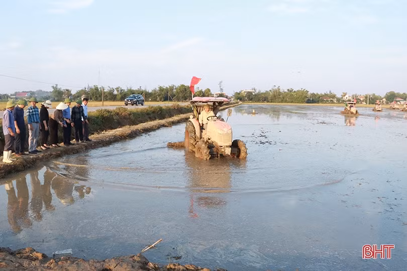 Cẩm Xuyên tập trung, tích tụ, chuyển đổi ruộng đất năm 2022
