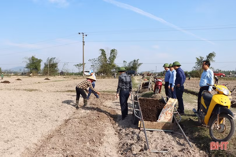 Cẩm Xuyên tập trung, tích tụ, chuyển đổi ruộng đất năm 2022