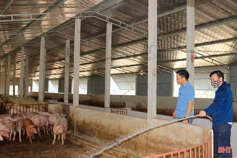 Thăm trang trại tổng hợp thu nhập tiền tỷ của nông dân Cẩm Xuyên