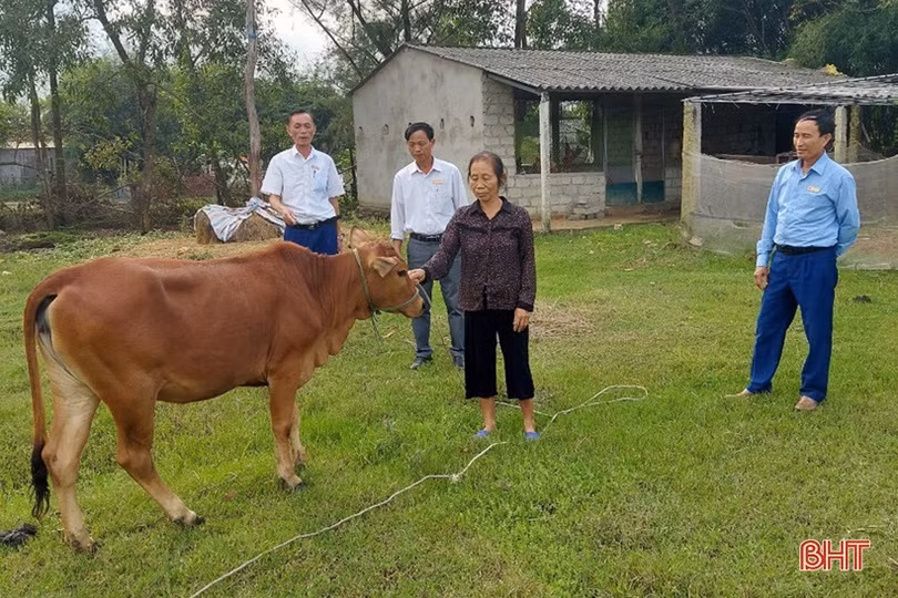 Huy động nguồn lực hỗ trợ sinh kế cho người nghèo ở Hà Tĩnh