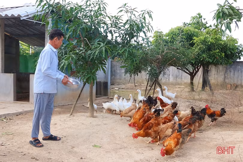 Đoàn kết xây dựng NTM ở vùng đồng bào công giáo Hà Tĩnh