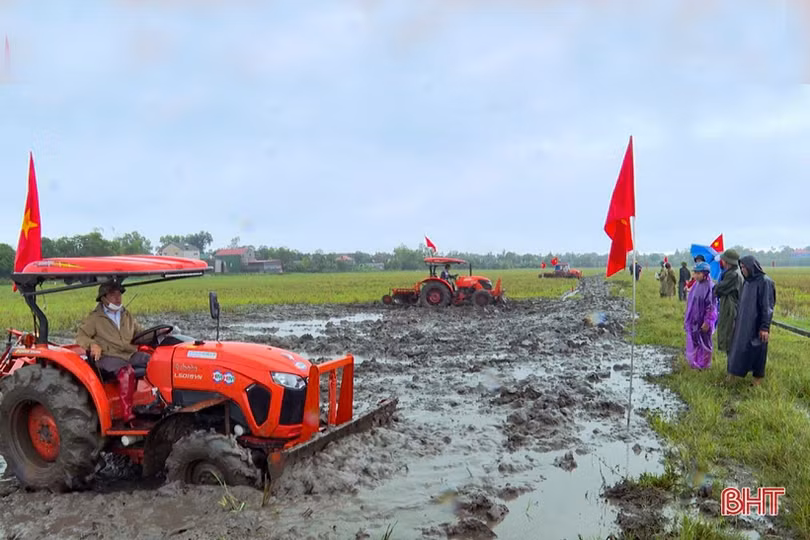 Tiếp tục chuyển đổi ruộng đất, Kỳ Anh hướng đến sản xuất nông nghiệp hiện đại