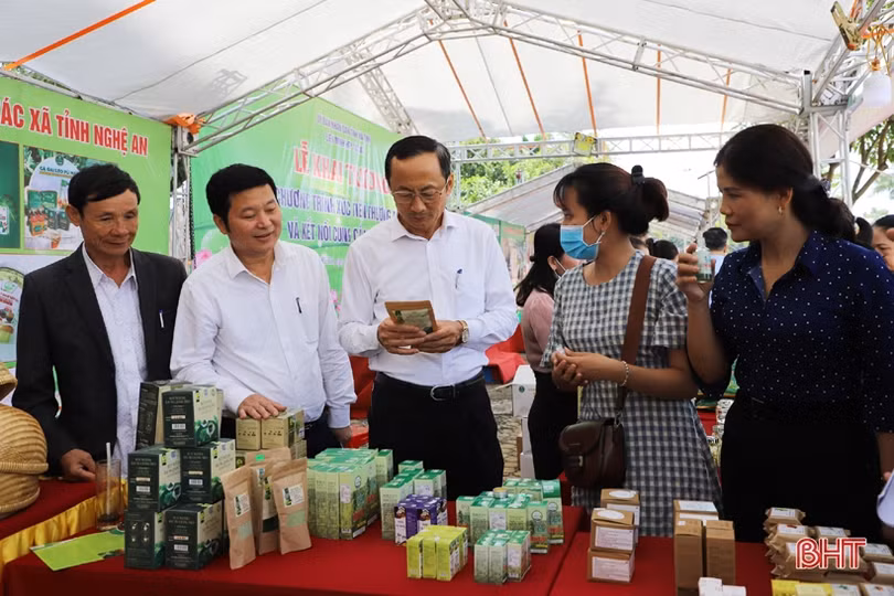 Các tỉnh Bắc Trung Bộ kết nối giao thương, tiêu thụ sản phẩm kinh tế tập thể