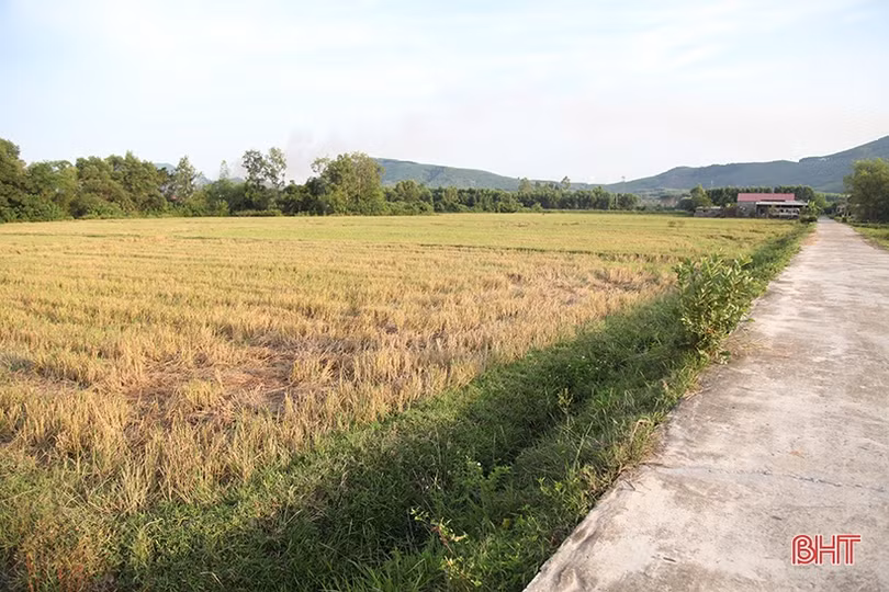 Vì sao tiến độ chi trả đền bù GPMB cao tốc Bắc - Nam của huyện Kỳ Anh còn chậm?