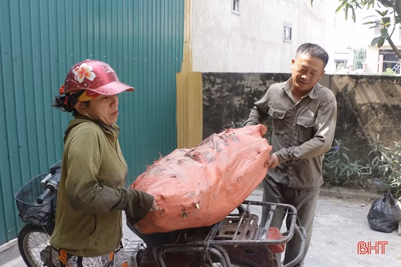 Xây dựng thương hiệu Sen Hào Thành, tạo giá trị bền vững