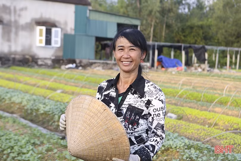 Những “triệu phú” vụ đông ở Hà Tĩnh