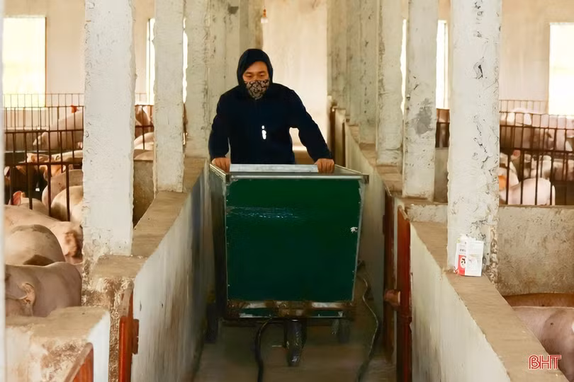 Thăm trang trại tổng hợp thu nhập tiền tỷ của nông dân Cẩm Xuyên