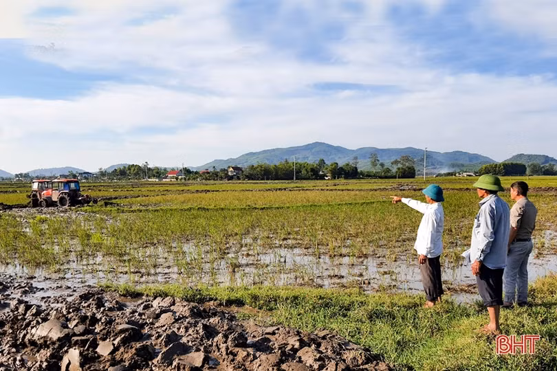 Tiếp tục chuyển đổi ruộng đất, Kỳ Anh hướng đến sản xuất nông nghiệp hiện đại