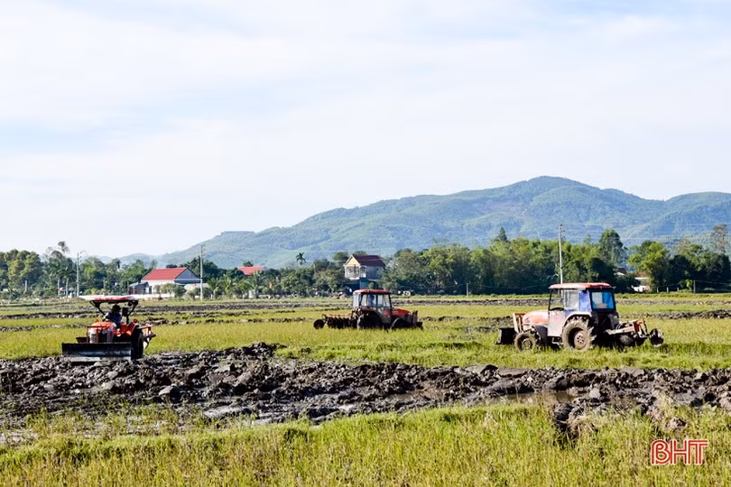 Tiếp tục chuyển đổi ruộng đất, Kỳ Anh hướng đến sản xuất nông nghiệp hiện đại