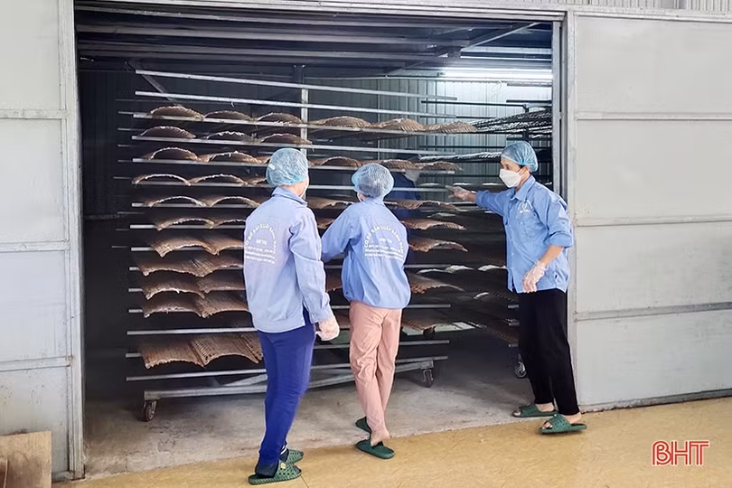 Hà Tĩnh sẵn sàng cho sự kiện xúc tiến thương mại quy mô lớn tại Hà Nội