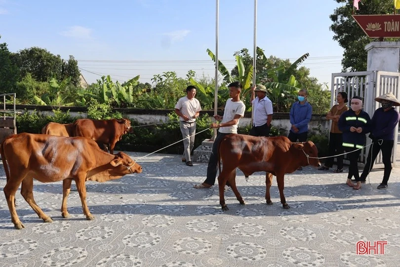 Tặng nhiều mô hình sinh kế cho người nghèo Hà Tĩnh