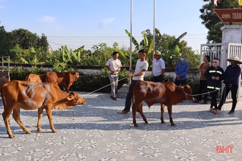 Làm nhà đại đoàn kết, hỗ trợ sinh kế cho hộ nghèo ở Can Lộc