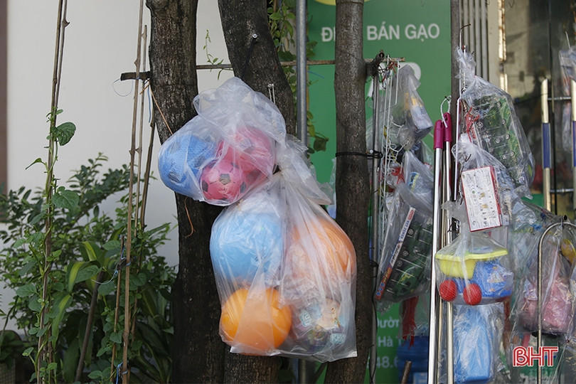 Cây xanh ở TP Hà Tĩnh bị đóng đinh, trở thành giá treo đồ