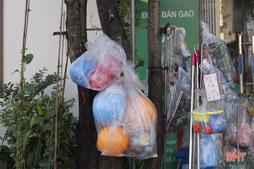 Cây xanh ở TP Hà Tĩnh bị đóng đinh, trở thành giá treo đồ