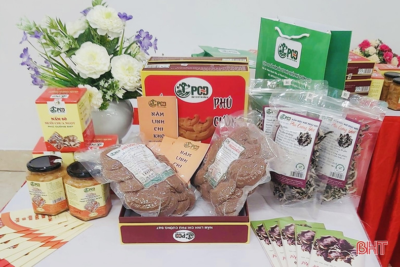 Chế biến sâu, làm hấp dẫn món nấm ăn tại Thạch Hà