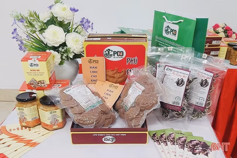 Chế biến sâu, làm hấp dẫn món nấm ăn tại Thạch Hà