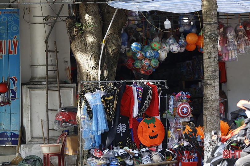 Cây xanh ở TP Hà Tĩnh bị đóng đinh, trở thành giá treo đồ