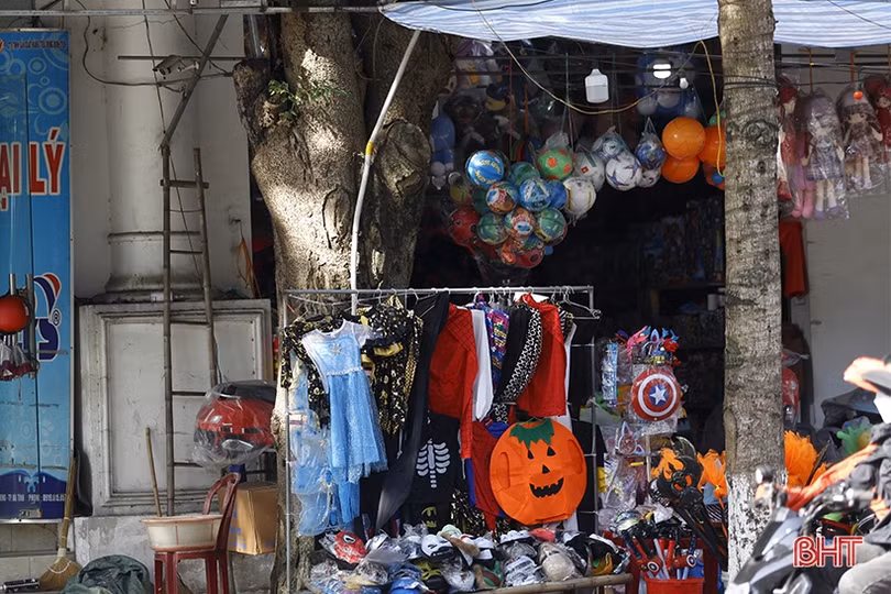 Cây xanh ở TP Hà Tĩnh bị đóng đinh, trở thành giá treo đồ