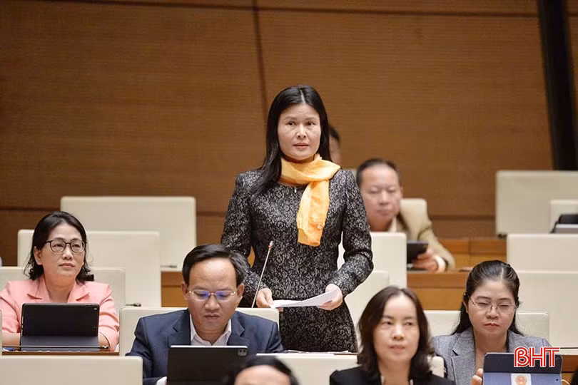 ĐBQH Bùi Thị Quỳnh Thơ phát biểu thảo luận.