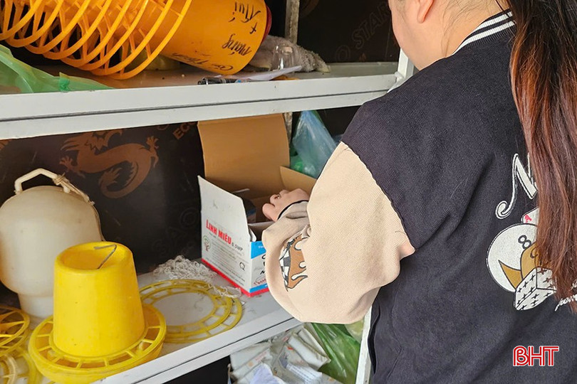 Chị chủ quan tại xã Cẩm Thành bán thuốc diệt chuột theo đúng quy định - thuốc Linh Miêu 0.5WP bqbht_br_z6373217482272-2536f75a31fecd6f774316f35de32ff4.jpg