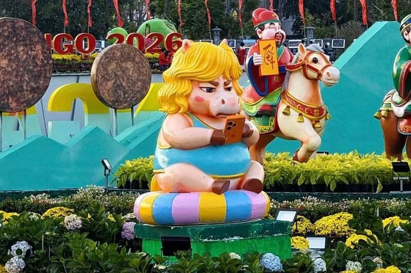 Chú ngựa với biểu cảm “mặt cộc” theo cách gọi vui của cư dân mạng