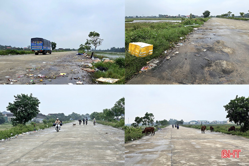 Cùng với gió, xe cộ và gia súc mang rác đi khắp tuyến đường, đồng ruộng. Cùng với gió, xe cộ và gia súc mang rác đi khắp tuyến đường, đồng ruộng.