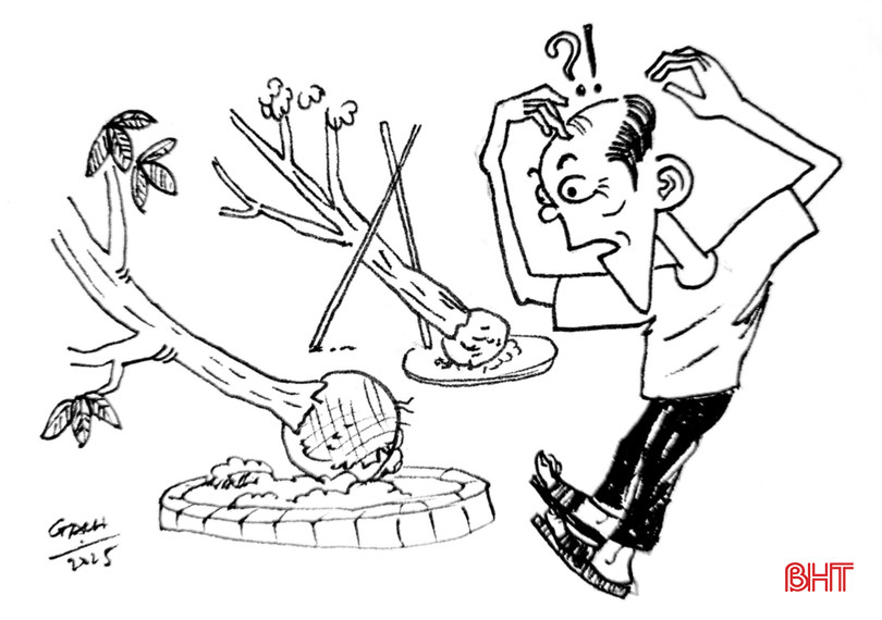 Tranh minh họa (Huy Tùng) bqbht_br_01715eae-462d-4d20-9553-ef560b526d06-jpg.jpg