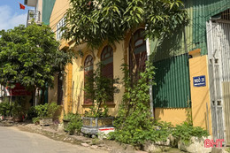 Cây cảnh "lấn" vỉa hè - Vì sao chậm xử lý? 