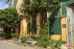 Cây cảnh "lấn" vỉa hè - Vẫn chưa quyết liệt xử lý? 