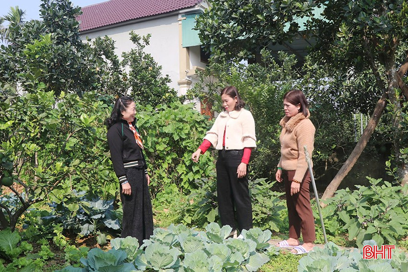 Đến nay, thôn Tân Tiến có 80% gia đình được công nhận nhà sạch, vườn đẹp. bqbht_br_a3.jpg