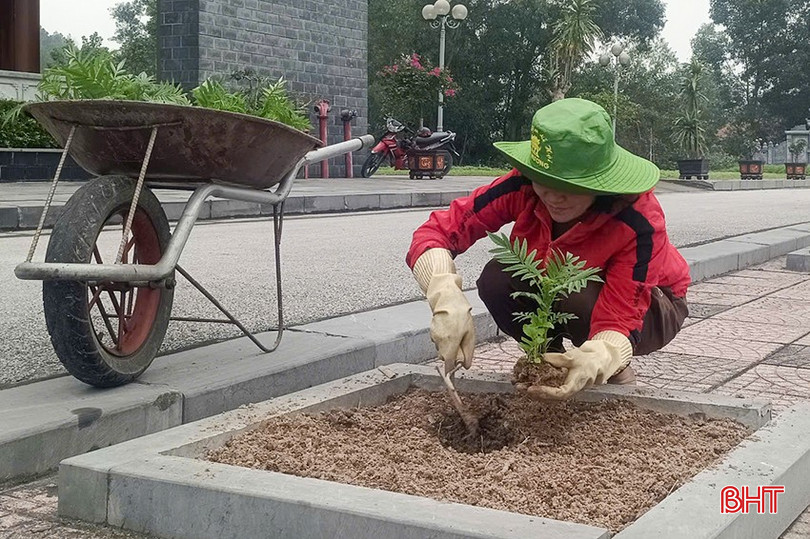 Cán bộ Ban Quản lý trồng hoa, tạo cảnh quan môi trường ở khu vực nhà đón tiếp khách. bqbht_br_11.jpg
