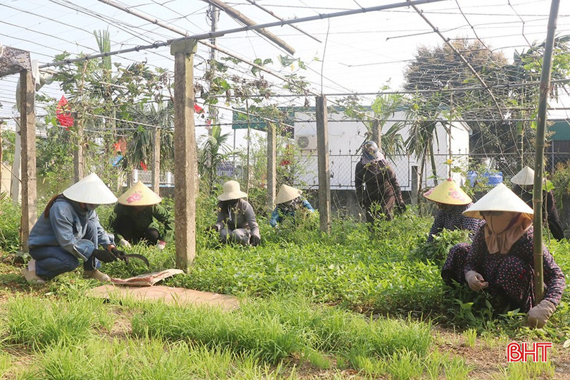Phụ nữ xã Xuân Lộc giúp nhau chỉnh trang vườn hộ. bqbht_br_28.jpg