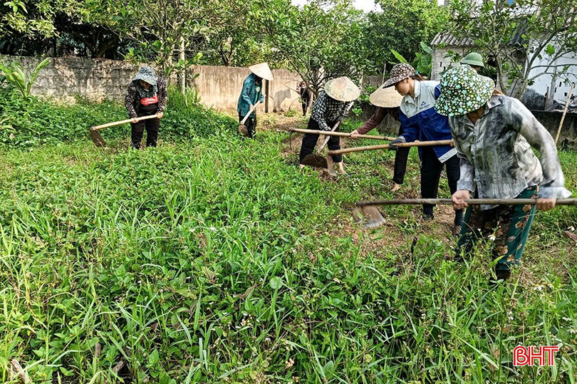 Hội LHPN xã Sơn Lộc vận động hội viên giúp nhau chỉnh trang vườn hộ, xây dựng vườn mẫu. bqbht_br_11-664.jpg