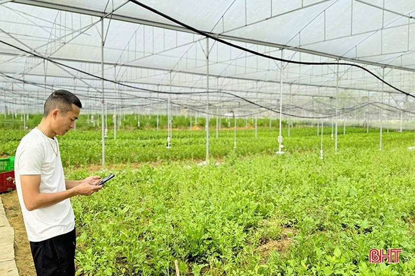 Người dân ứng dụng các kiến thức khoa học kỹ thuật, chuyển đổi số vào phục vụ sản xuất. 13.jpg