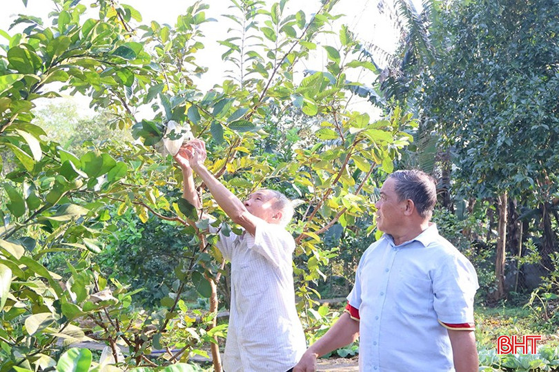 Những vườn cây trái trù phú trên vùng bán sơn địa đã giúp người dân thôn Đại Đồng đổi thay cuộc sống. bqbht_br_12.jpg