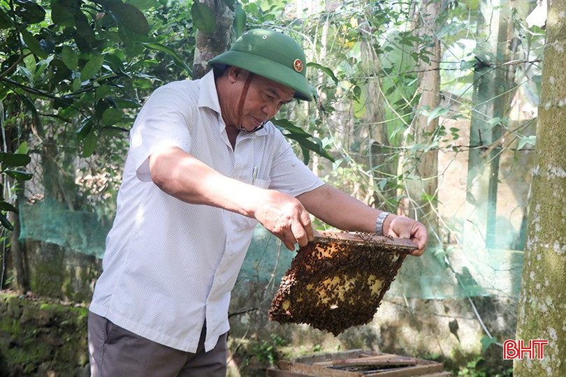 Từ 30 tổ ong nuôi ở vườn nhà, mỗi năm ông Đặng Cần - Bí thư Chi bộ thôn Đại Đồng thu hoạch 300 lít mật. bqbht_br_14.jpg