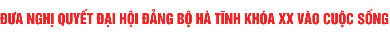 Đưa nghị quyết Đại hội Đảng bộ Hà Tĩnh vào cuộc sống