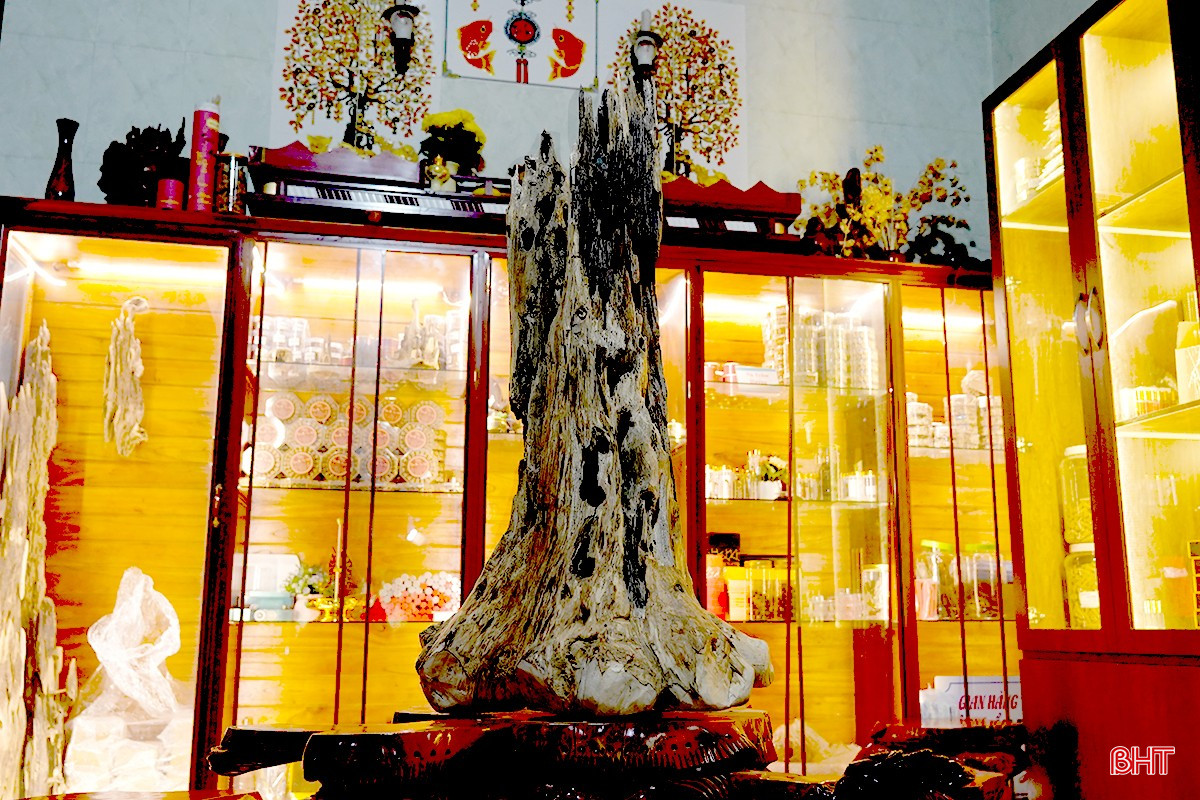 bqbht_br_duc08270.jpg