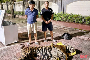 Liên tiếp triệt phá các vụ gian lận thương mại, vận chuyển hàng cấm