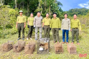 Vườn Quốc gia Vũ Quang tiếp nhận 57 cá thể động vật hoang dã