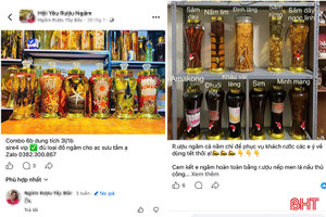 Cẩn trọng khi sử dụng các loại rượu ngâm trong dịp Tết